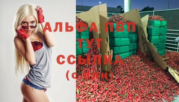 гидра Беломорск