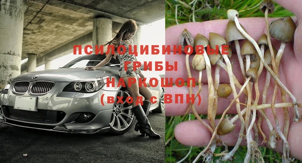 герыч Белокуриха